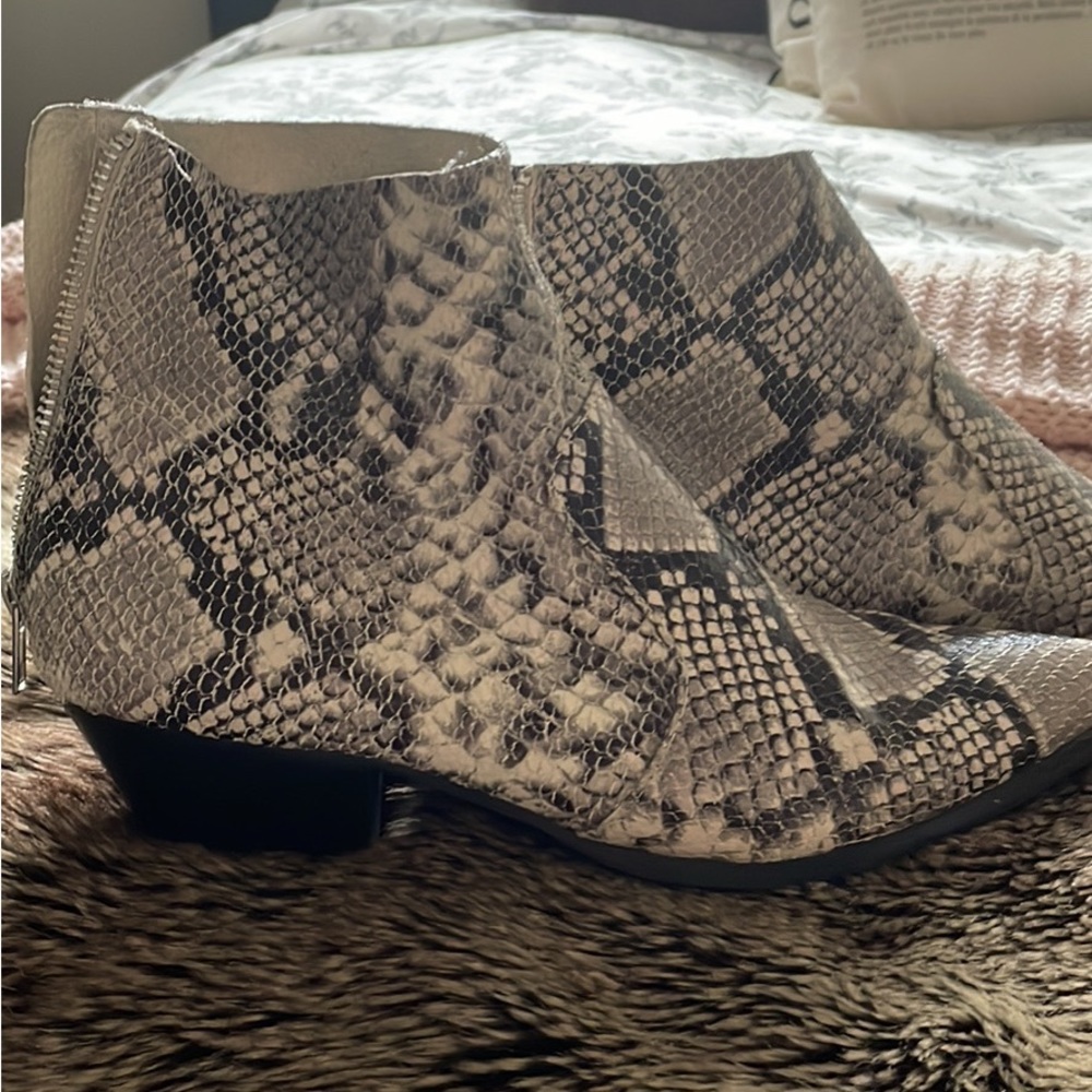 Steve Madden snakeskin booties